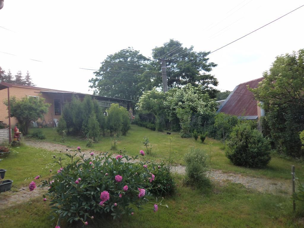 Guest House Hartenberg Sokolov Esterno foto